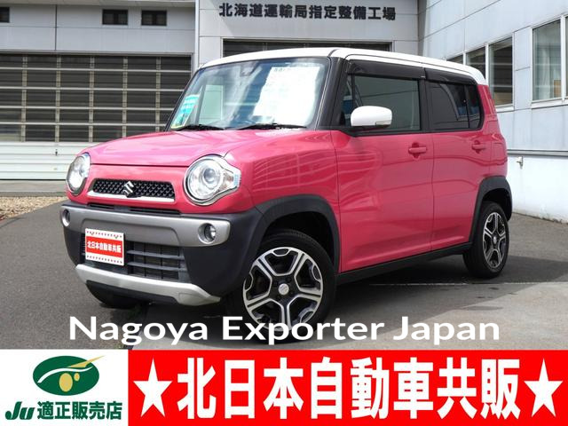 SUZUKI HUSTLER