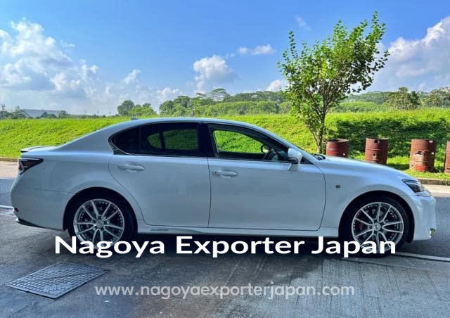 Image 19